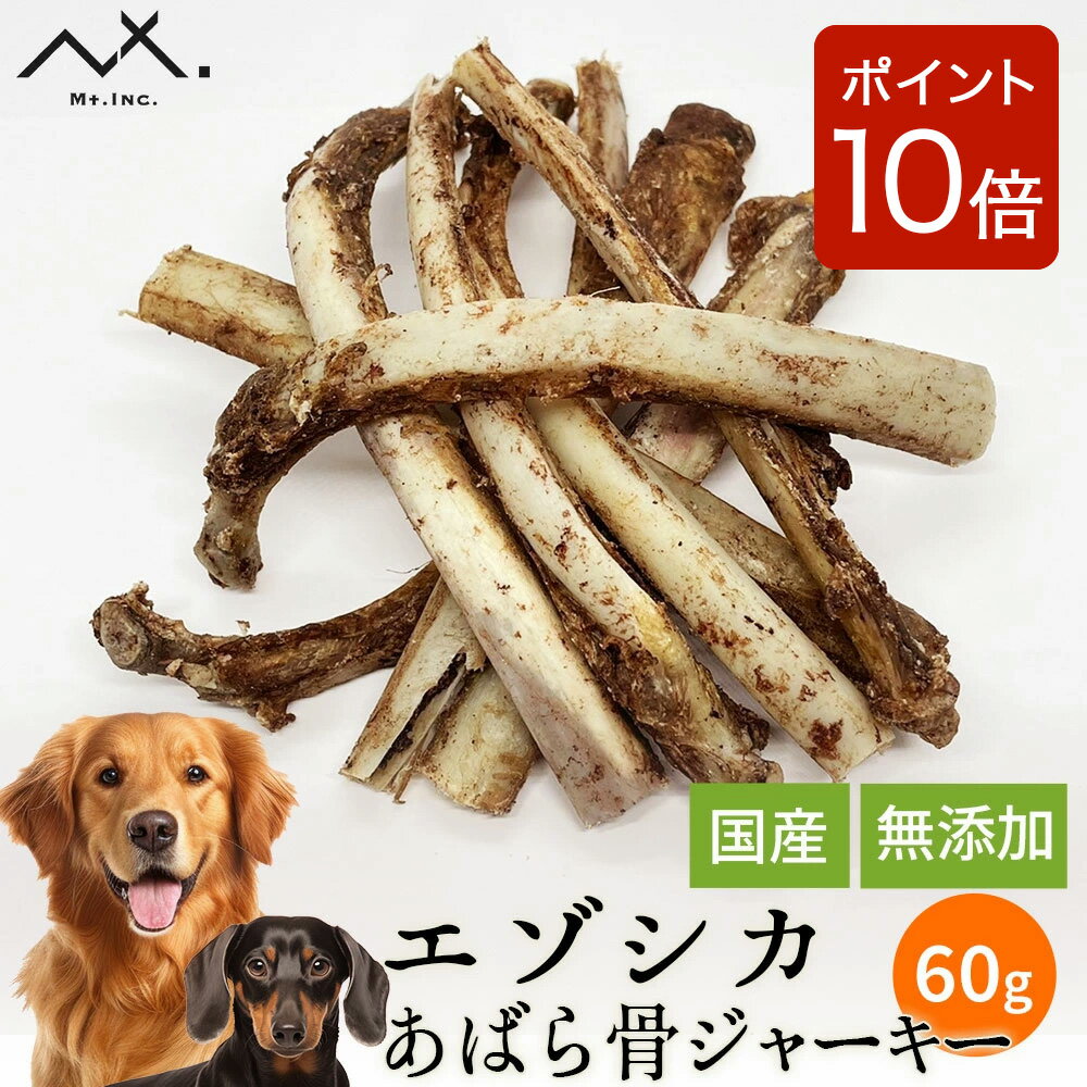 【P10倍！ 6/22 20:00〜6/27 01:59限定】〈