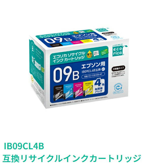 ECI-EIB09B-4P / IB09CL4B ߴ ꥫꥵ륤