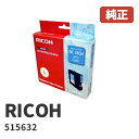 515632RICOH R[ CNJ[gbW GXJ[gbWVA GC21CH(1)S1Nۏ