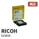 515810RICOH R[ CNJ[gbW GXJ[gbWCG[ GC41Y(1)S1Nۏ