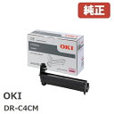 DR-C4CM f[^ OKIC[Wh }[^(1)