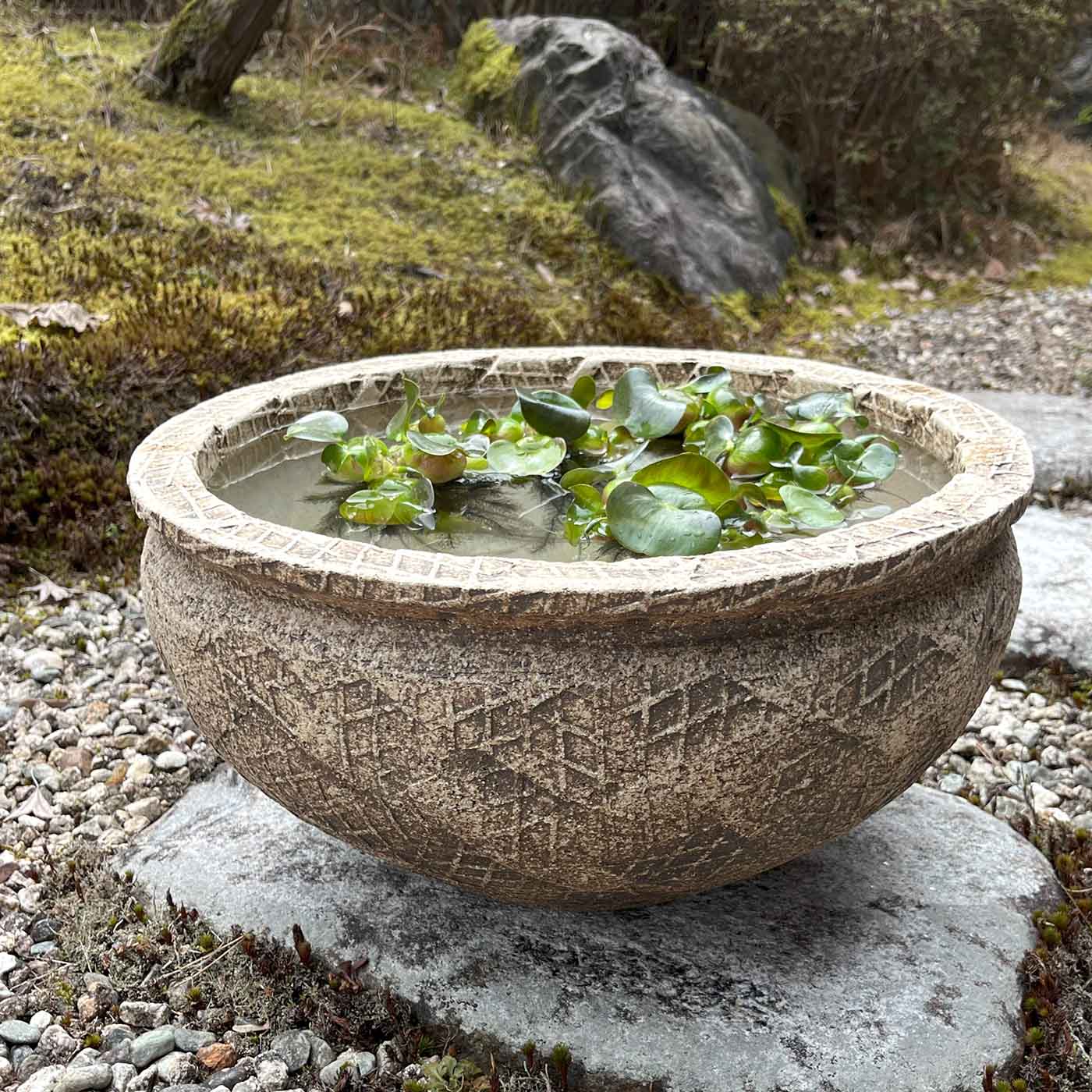 メダカ鉢網目焦窯肌白水蓮鉢金魚鉢ハ...