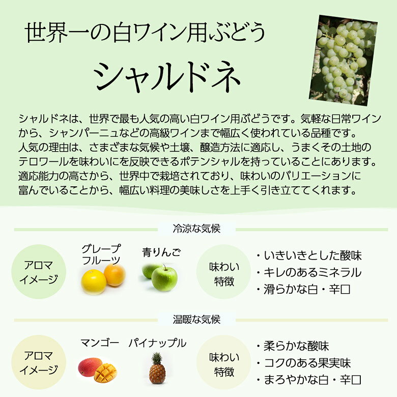 シャブリ5本豪華ラインアップ 老舗ドメーヌのみくらべ シャルドネ ワイン セット wine 送料無料 750ML おすすめ r- mt-wines-10000452 ワインの専門店ヴィネクシオ サンプル画像2