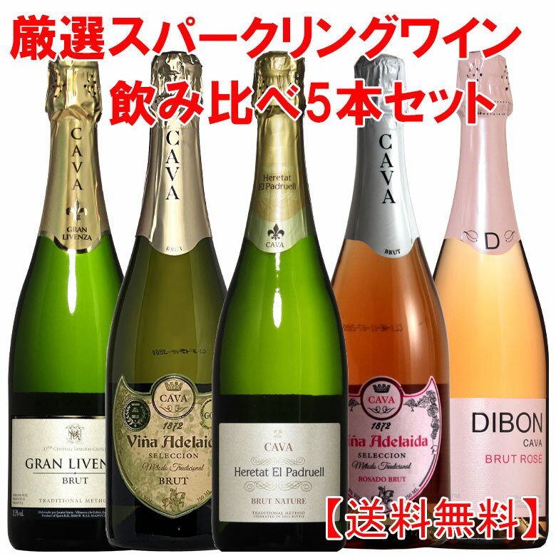 ロゼ2本入りの全てシャンパン製法 スペインカヴァ5本セット 送料無料 　ワイン ワインセット wine ギフト 父の日 750ML