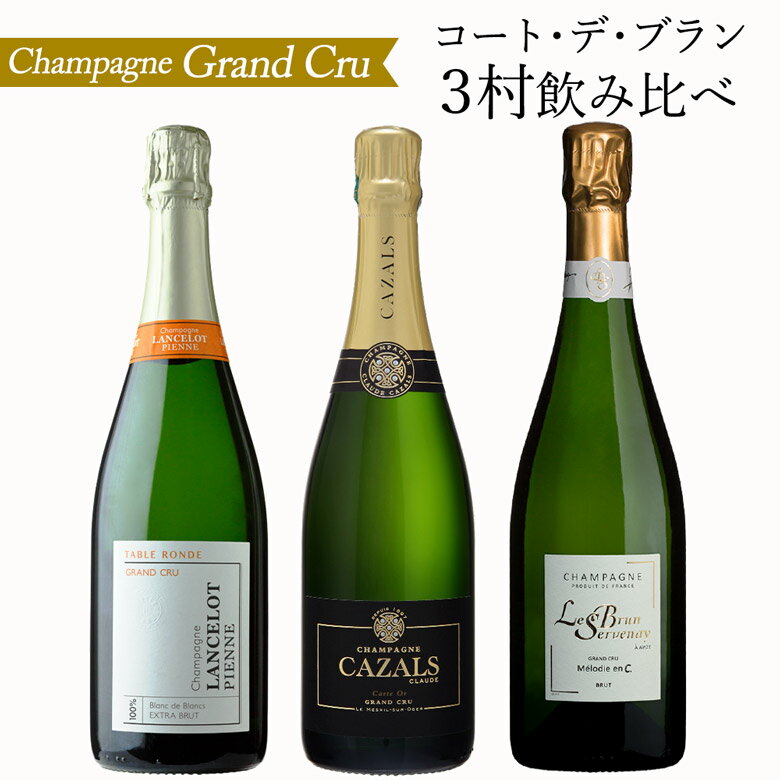 シャンパーニュ グランクリュ 南部 コートデブラン の3村 3本セット ワイン セット wine ギフト 父の日 750ML