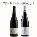 厳選 クリュボジョレー 2本セット ワイン セット wine ギフト ホワイトデー 750ML