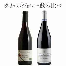 厳選 クリュボジョレー 2本セット ワイン セット wine ギフト 母の日 750ML