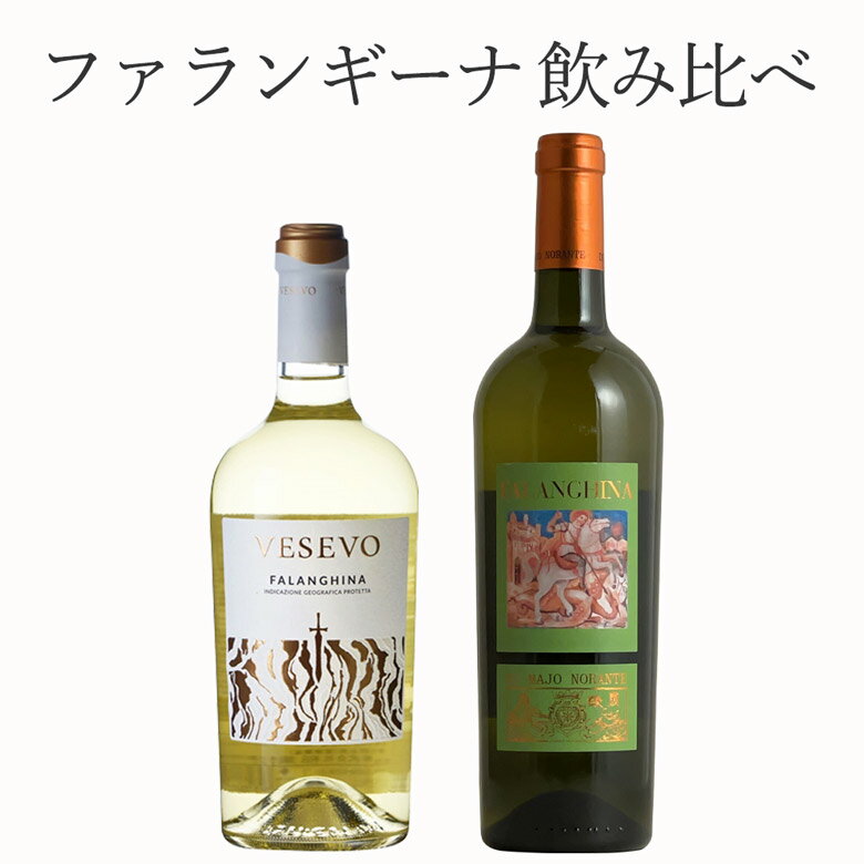 ワイン（5000円程度） 厳選 ファランギーナ 2本セット ワイン セット wine ギフト 父の日 750ML