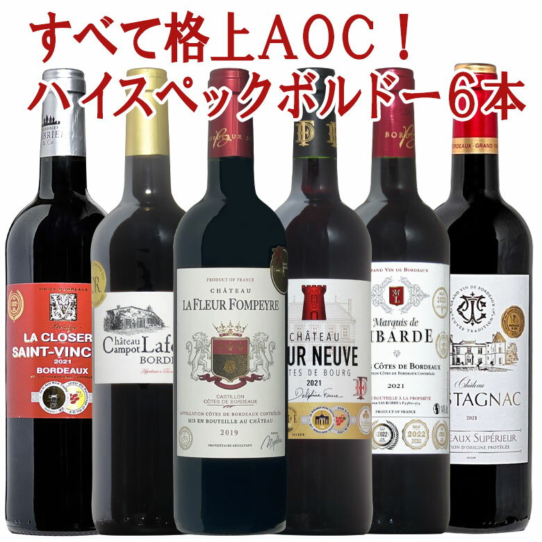 【コート最高地区カスティヨン入】 格上満載ボルドー6本 セット 赤 赤ワイン コク旨 ボルドーワイン フルボディー カベルネ メルロー 送料無料 ギフト 母の日 ワインセット 金賞 ボルドー wine ワイン 750ML プレゼント おすすめ