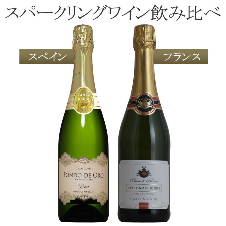 豪華な泡で乾杯！フランス・スペインのスパークリングワイン飲み比べ2本セット！送料無料全て本格辛口ブリュット！