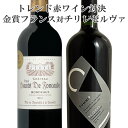 金賞ワインのギフト フランス金賞対チリ！飲み比べ赤2本セット【送料無料】　ギフト 母の日　ワイン　赤ワイン　金賞　750ML