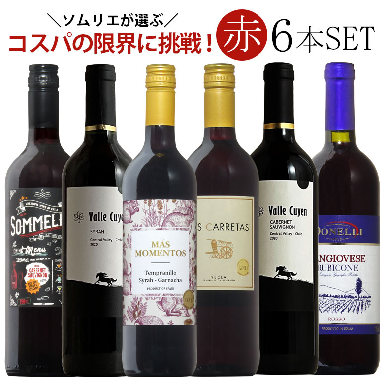 ソムリエ厳選赤ワイン6本飲み比べ 