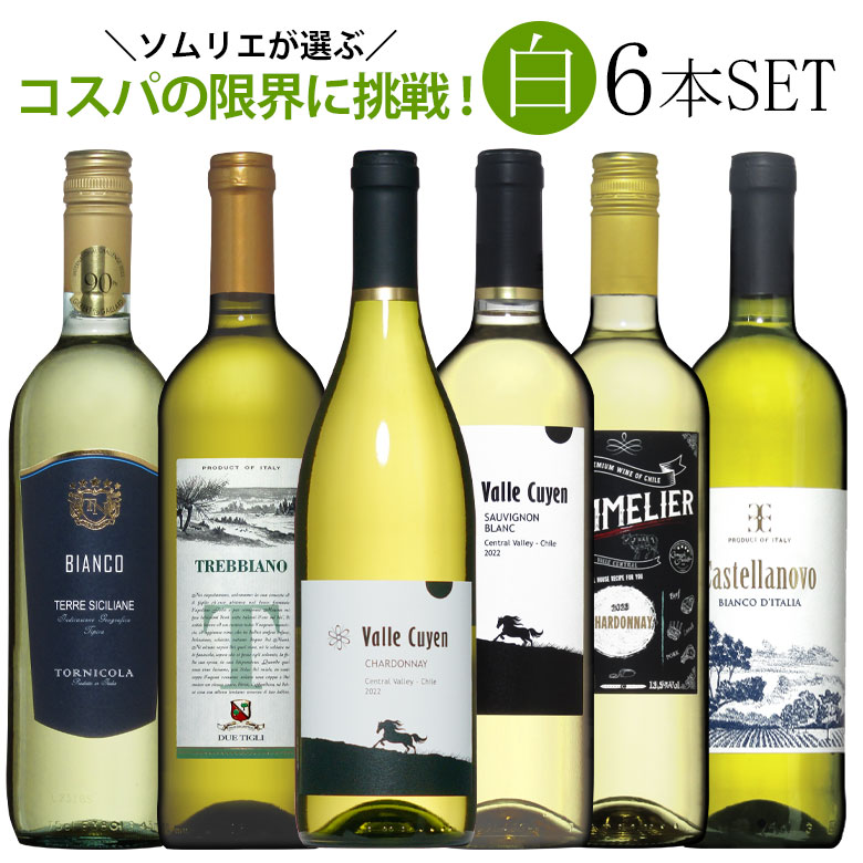 ワイン（5000円程度） ソムリエ厳選白ワイン6本飲み比べ 送料無料 白 ワインセット wine ギフト 父の日 プレゼント ワイン 白ワイン 750ML r-