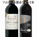 ソムリエ厳選 金賞入り 赤ワイン飲み比べ 2本セット　ギフト 母の日　ワイン　赤ワイン　750ML