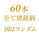 Big福袋 金賞受賞ワイン 60本 ワインセット 福袋！1本あたり993円！！メドック6本以上確定！ 福袋 【送料無料】 ギフト 母の日 ワイン 金賞 赤ワイン 750ML 3