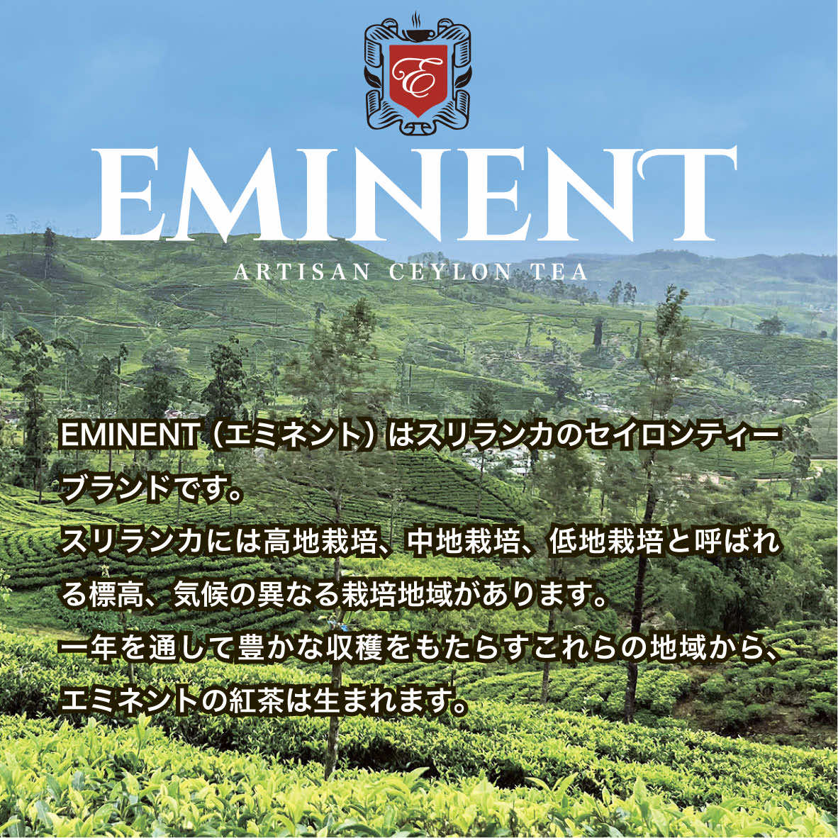 紅茶 セイロン ウバ BOP リーフ 茶葉 缶...の紹介画像2