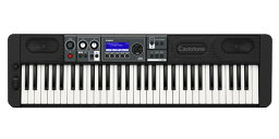 CASIO（カシオ） ポータブルキーボード Casiotone CT-S500