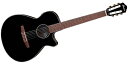 Ibanez(アイバニーズ) エレクトリック・ガットギター AEG50N-BKH