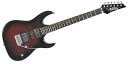 Ibanez(アイバニーズ) ギター/エントリークラス GRX70QA-TRB