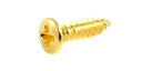 ALLPARTS（オールパーツ） ピックガード/プレート用ネジ GS-0001-002 Pack of 20 Gold Pickguard Screws