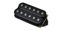 DIMARZIO（ディマジオ） ギター用PU/ハムバッカー DP213 PAF Joe F-Spaced Black