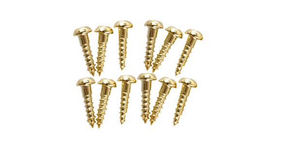 FERNANDES（フェルナンデス） マシンヘッド用ネジ TUNINGGEAR SCREW GOLD