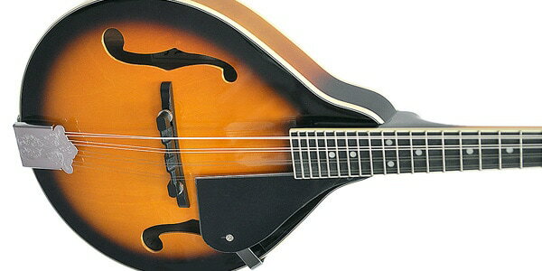 PLAYTECH�ʥץ쥤�ƥå��� SA100 VS A��������ե�åȥޥ�ɥ��