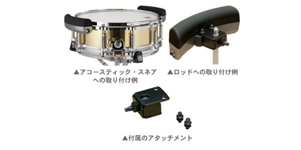 ROLAND�ʥ������ɡ� ����/���ͥ��ѥå� BT-1