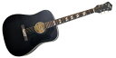RECORDING KING(レコーディングキング) アコースティックギター RDS7 Matte Black ドレッドノートタイプ