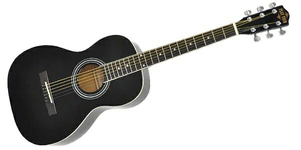 PLAYTECH(プレイテック) アコースティックギター ZP18 Black シングルオータイプ