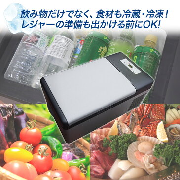 【増税前の限定特価!!】 車載 冷蔵庫 冷凍庫 15L 大容量 12V 24V (EC-0002) 大型 クーラーボックス 保冷 シガーソケットDC 家庭用電源AC 2WAY電源 ポータブル 低電圧保護 静音 家電 車中泊 釣り アウトドア キャンプ BBQ スポーツ 防災【送料無料】