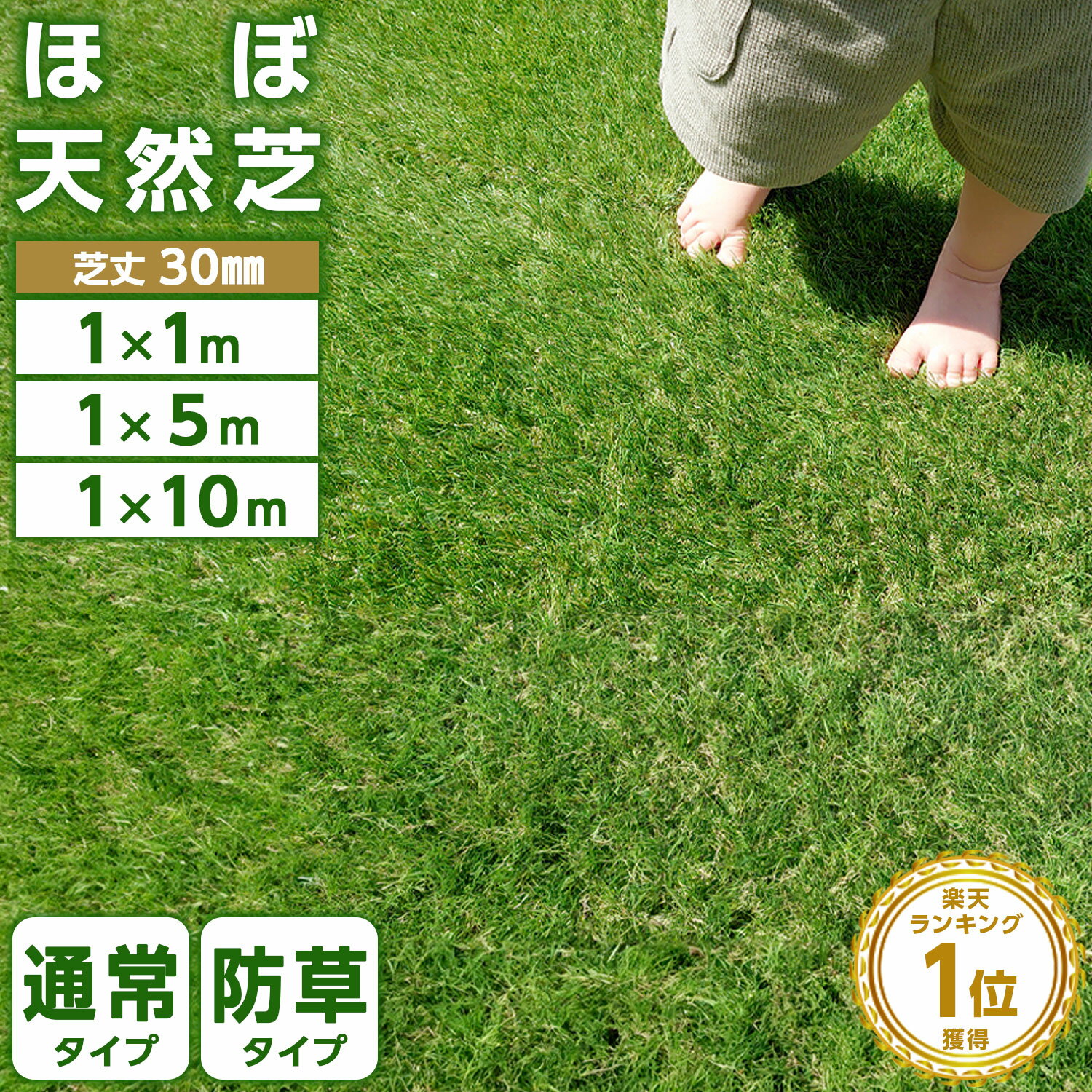 高評価★4.50★ 人工芝 ロール 1m×10m 1m×5m 1m×1m 35万本 防草タイプあり 高密度 高耐久 芝丈30mm リアル人工芝 芝ロール 芝マ...