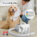 \お買い物マラソン1000円OFF 9.26迄/ペットドライヤー 大型犬も素早く乾かす 最大風速75m/s 大風量速乾 温度調節可能 5段階風量調整 マイナスイオン機能 低騒音設計 57dB 4種類ノズル付属 断熱カバー フィルター掃除容易|詳細画像