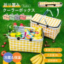 ソフトクーラーボックス 折りたたみ 大容量 保冷バッグ クーラーバッグ ボックス型 ランチバッグ クーラーボックス 買い物かご エコバッグ バスケット 大型 軽量 手提げ 折り畳み ピクニックバスケット 保冷保温 保冷 保温 持ち運び お弁当 ピクニック キャンプ アウトドア