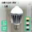 ֿʹ󥵡 饤 󥵡 E26 ʹ󥵡 LEDŵ ŵ 饤 ŵ LED 󥵡 ư ʹ󥵡դLEDŵ E26 E17 60W 󥵡饤(MT-NGB-1)פ򸫤