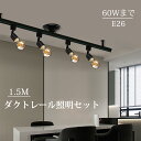 ダクトレール 1.5m ライティングレール ダクトレールライト セット LED電球付き エジソン電球 シーリングライト 6畳 8畳 高級照明 口金E26 40W...