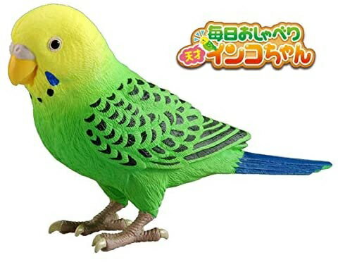 タカラトミー TAKARATOMY 毎日おしゃべり 天才インコちゃん 脳トレ クイズ ゲーム 共遊玩具 乾電池のみ対応(単4アルカリ電池2本別売) 