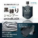 ダメリーノ アミノブラックシャンプー 150g 頭皮ケア フケ ニオイ コンディショナー不要