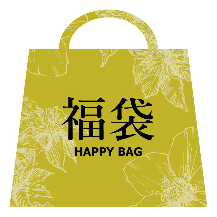 10金 福袋 2023 レディース K10 ジュエリー ピアス ネックレス ふくぶくろ 11000円 Happy Bag ギフト