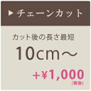 【4/30の10時まで限定クーポン配布中】シャンデリア チェーンカット 最短10cm 加工 チェーン加工 短く調整