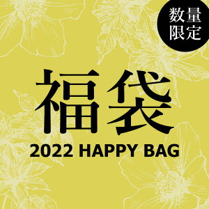 K10 10金 福袋 2022 レディース アクセサリー ジュエリー ピアス ネックレス ふくぶくろ 11000円 Happy Bag 10K