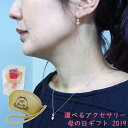 遅れてごめんね母の日ギフト プレゼント アクセサリー ピアス