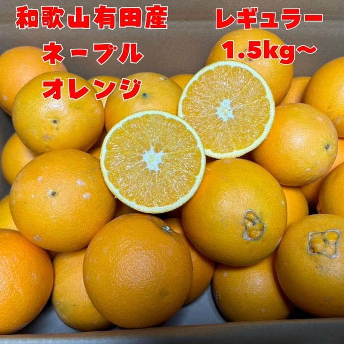 【国産オレンジ】ネーブル オレンジ 和歌山県産 送料無料 家庭用 訳あり 産地直送 和歌山県産 箱込み5kg 箱込み10kg 【開店記念 セール 特価】