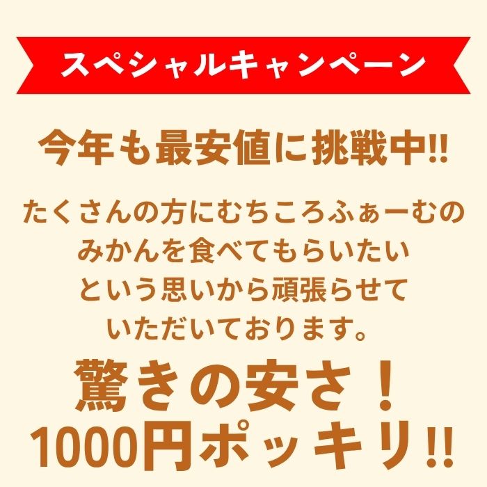 �� ������ߤ���� ͭ�Ĥߤ��� ������ 1.5kg�� ���̸��� 1000�ߥݥå��� ����̵�� �ߤ���ߥ��� ���� ��� ̪�� ��� ����ľ�� �²λ����� Ȣ���� 5kg 10kg��̵���ʤ꼡�轪λ��