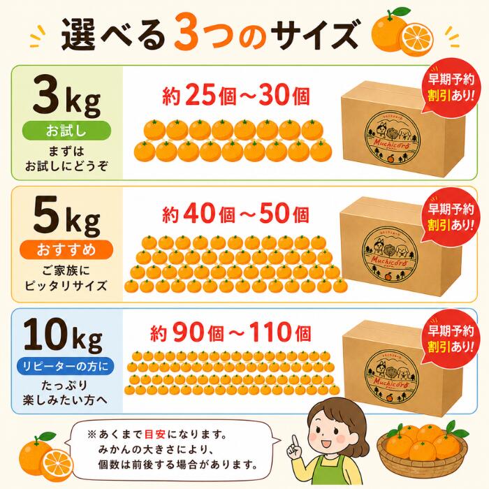 みかん 有田みかん【先行予約】【当店人気No.1】早生みかん S～Lサイズ 和歌山県産 農家直送 送料無料 家庭用 3kg 5kg 10kg 1kg 1000円ポッキリ muchicorofarm-10000005 みかん農園 むちころふぁーむ サンプル画像2