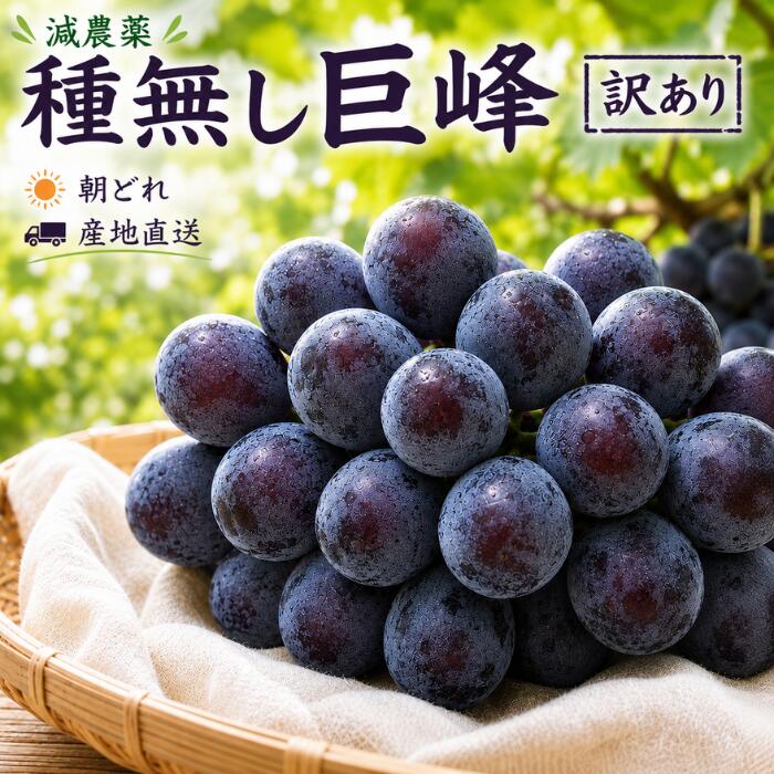 楽天市場】巨峰 3kgの通販