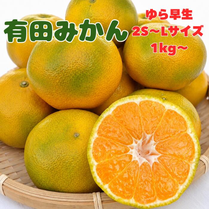 『先行予約』 みかん 甘くて濃厚！ご家庭用 贈答用1kg〜 送料無料 産地直送 みかん…