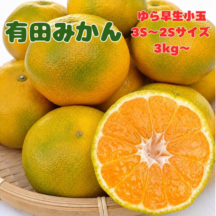 【ゆら早生小玉】 みかん 有田みかん ゆら早生みかん 小玉 送料無料 ミカン 蜜柑 秀品 優品 産地直送 和歌山 県産 箱込み 5kg 箱込み 10kg 【 セール 特価】 muchicorofarm-10000025 みかん農園 むちころふぁーむ パッケージ画像