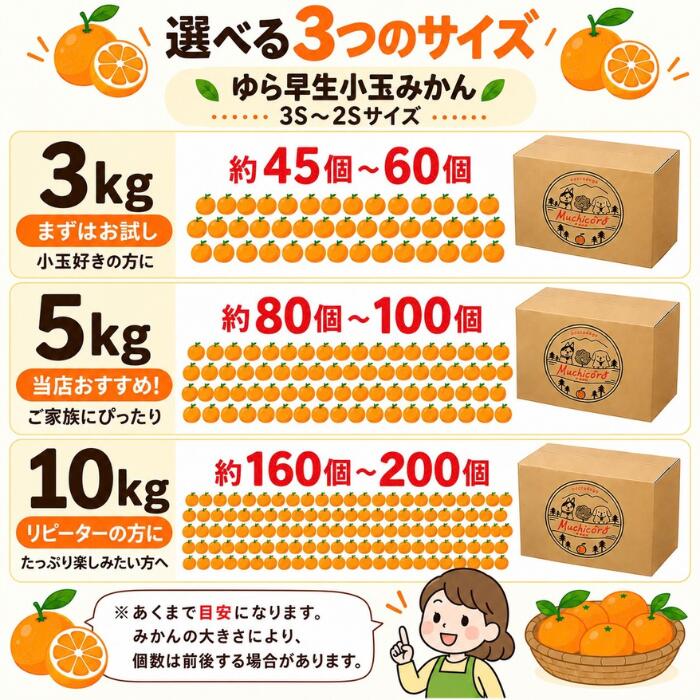 【ゆら早生小玉】 みかん 有田みかん ゆら早生みかん 小玉 送料無料 ミカン 蜜柑 秀品 優品 産地直送 和歌山 県産 箱込み 5kg 箱込み 10kg 【 セール 特価】 muchicorofarm-10000025 みかん農園 むちころふぁーむ サンプル画像2