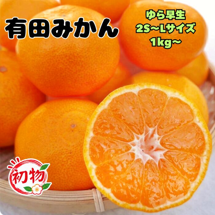 【ゆら早生 有田みかん 和歌山産】みかん ゆら早生みかん 甘くて濃厚！ご家庭用 贈答用1kg〜 送料無料 産地直送 みか…